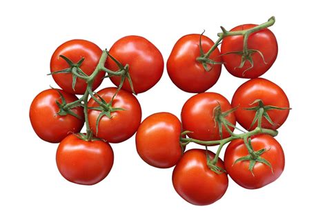 Free Png Tomatoes Transparent Tomatoespng Images Pluspng