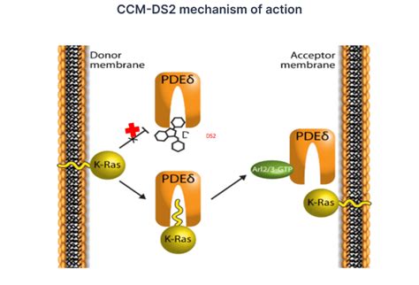 Nanothera Biosciences Ccm Biosciences