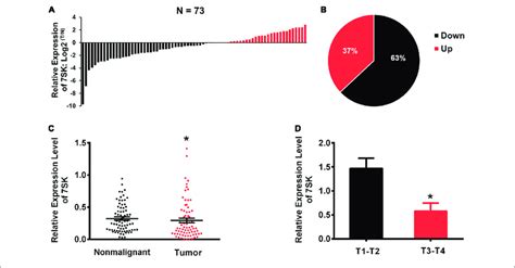 The Expression Levels Of 7sk In Tscc Patients A The Log 2 Fold