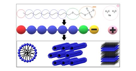 Studying The Structure Of Sodium Lauryl Ether Sulfate Solutions Using