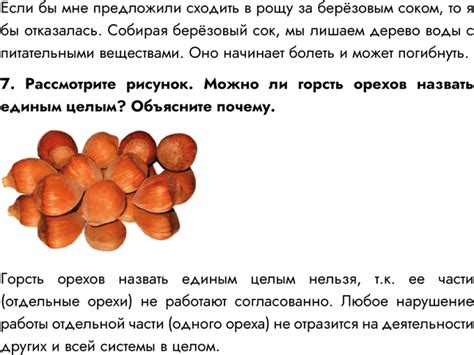 (Решено)Параграф 20 ГДЗ Сонин 6 класс по биологии