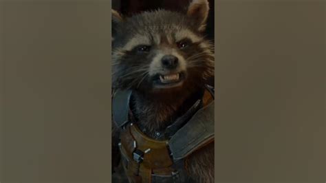 We All Felt It When Rocket Said Guardians Of The Galaxy Vol 3 Gotg3