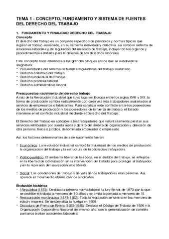 Tema 1 Derecho Trabajo Pdf