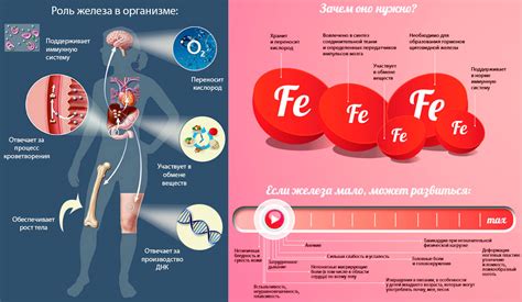 Калькулятор Дефицита Железа - 65 фото