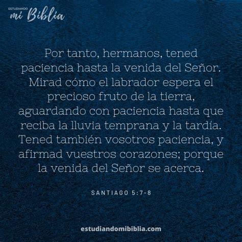 Descubre 16 Versículos Sobre La Paciencia Paciencia Bíblica