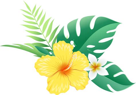 Hibiscus Flowers On Tropical Leaf 19050310 PNG