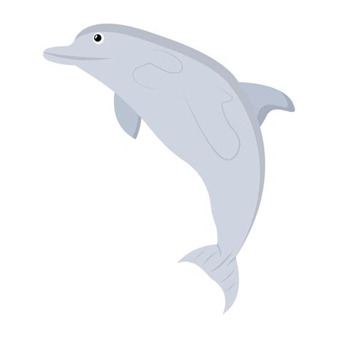 Trendy Dolphin Concepts 4608120 Vector Art at Vecteezy