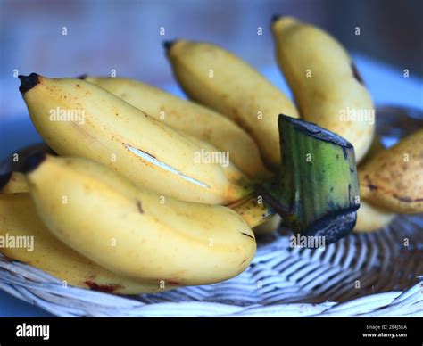 Pisang raja sereh hi-res stock photography and images - Alamy