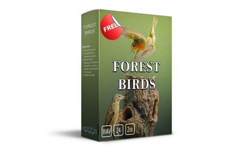 Free Forest Bird Sounds Effects Download — Acoustic Nature