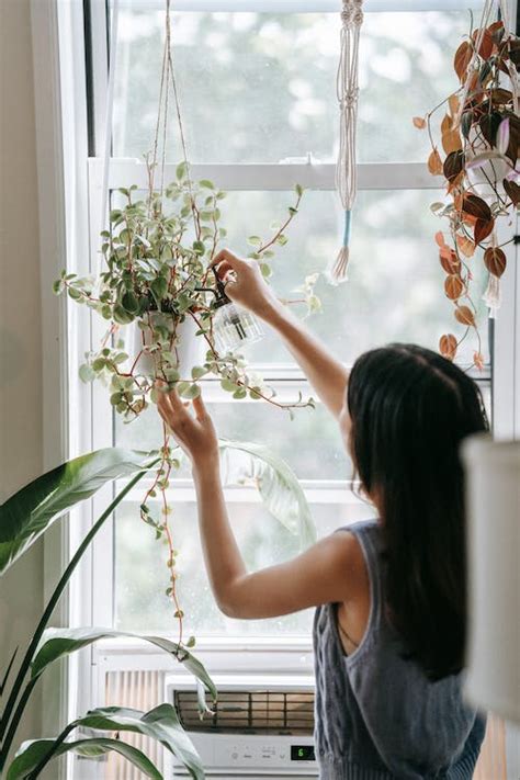 Flores y follaje Ideas para embellecer tu jardín y hogar