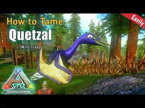 How To Tame A Quetzal Solo With Taming Trap ARK Survival Evolved