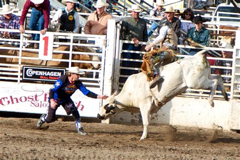 Pro Rodeo Returns To Steamboat Springs Colorado Travel Blog