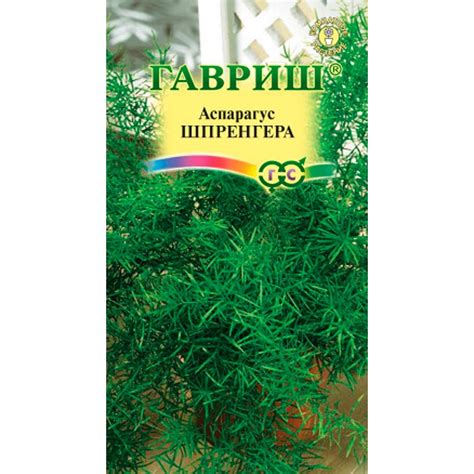 Купить Аспарагус Шпренгера 5шт недорого по цене 47руб.|Garden-zoo.ru