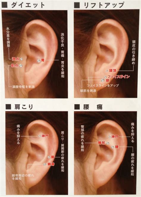 生まれて2回めのダイエット日記・耳つぼ編「自分で実験してみる」 一語一映Ⅲ