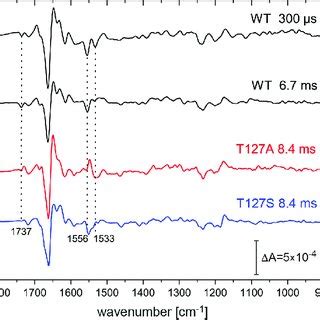 Time Resolved Ftir Difference Spectra Of Chr Wt Black Spectra Taken