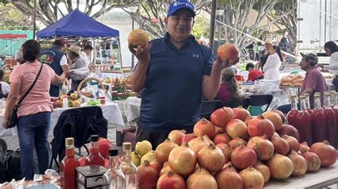 Apaseo El Alto Cultiva Granadas Gigantes Pueden Pesar Hasta 1 Kilo