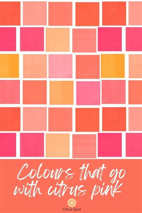 Beautiful Citrus Pink Colour Combinations To Brighten Your Day Orange