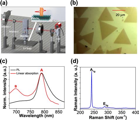 Figure From Broadband Nonlinear Optical Response Of Monolayer Mose