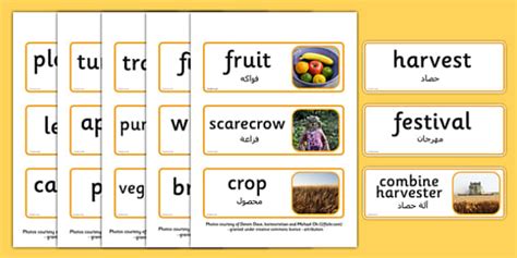 Harvest Topic Words Arabic Translation Teacher Made