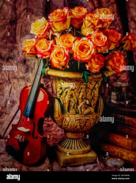 Violin And Roses Still Life Stock Photo Alamy