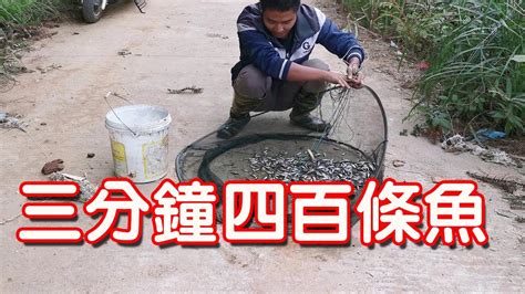 【石頭記事】小鄧山里養魚，今天花3分鐘捕到了400條魚，打算擴大養殖規模 Youtube