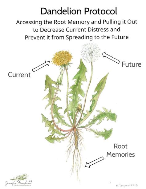 Emdr Formulation Past Present Future