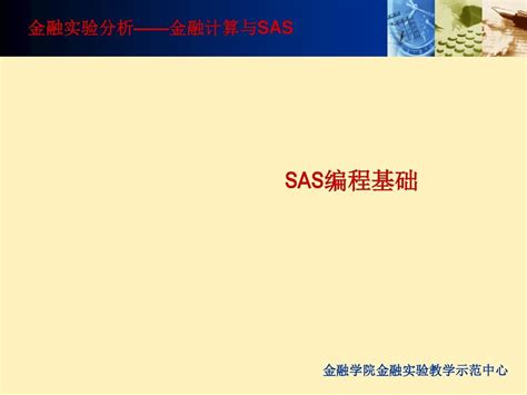 02sas编程基础word文档在线阅读与下载无忧文档