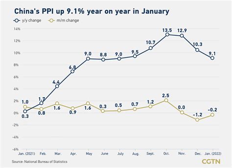 China S Consumer Producer Price Inflation Growth Slows In January CGTN