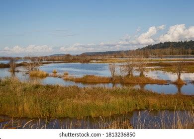 Water Wetlands United States Images Stock Photos D Objects