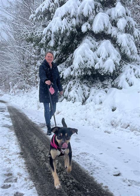 Heftige Schneefälle Der Winter kehrt in Oberfranken ein Oberfranken