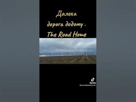 Далека дорога додому / The Road Home: The Incredible Journey - YouTube