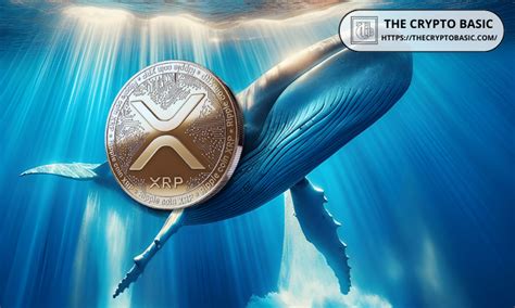 Whales Scoop Over Million Xrp In Hours Is A Massive Pump Imminent