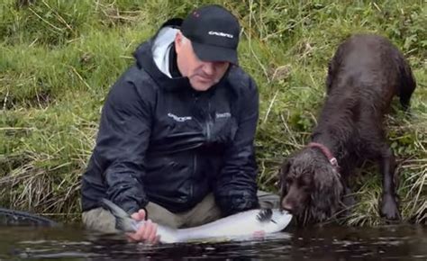 River Thurso Salmon fishing - Fishing Buzz