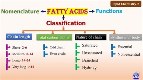 Lipids Properties Structure Classification Types 41 Off