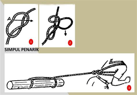 21 Tali Temali Dalam Pramuka Simpul Ikatan Jerat Pionering Lengkap