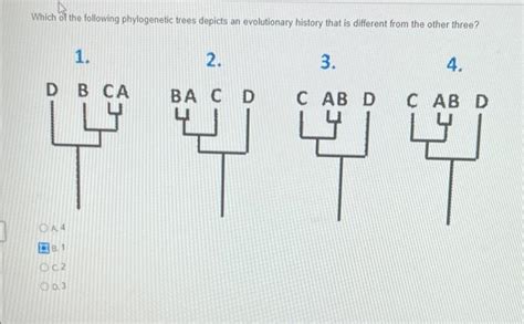 Solved Which Of The Following Phylogenetic Trees Depicts An