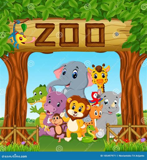 Collection Of Zoo Animals With Guide Stock Vector Illustration Of