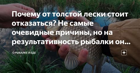 Почему от толстой лески стоит отказаться? Не самые очевидные причины ...