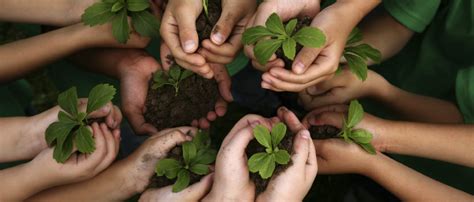 Importancia de la educación ambiental Parques Alegres I A P