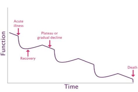 3 The Expected Trajectory Of Decline In Older People With Frailty At