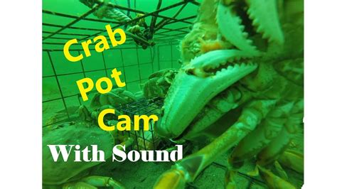 Gopro In Crab Pot With Sound Youtube