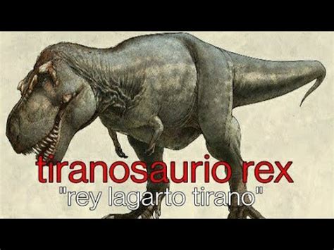 Tiranosaurio Rex Rey Lagarto Tirano Youtube