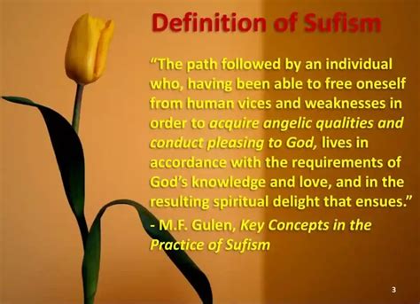 Sufism | Definition, History & Sufism Beliefs - Quran Mualim