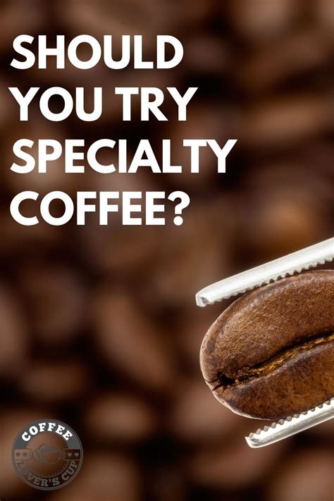 Specialty Coffee vs. Commodity Coffee: What's the Difference?