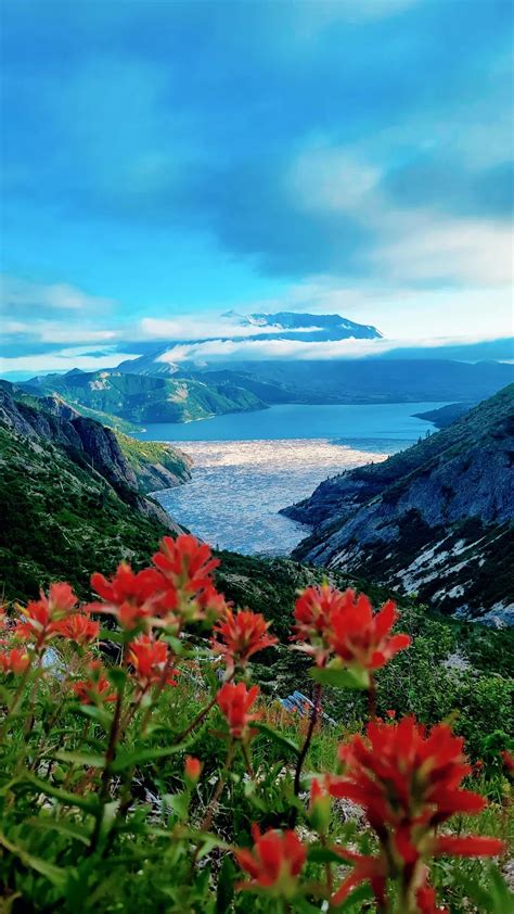 454 Best Mount St Helen Images On Pholder Earth Porn Interestingasfuck And Washington