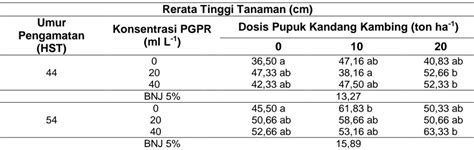 Pengaruh Aplikasi Pupuk Kandang Kambing Dan Pgpr Plant Growth