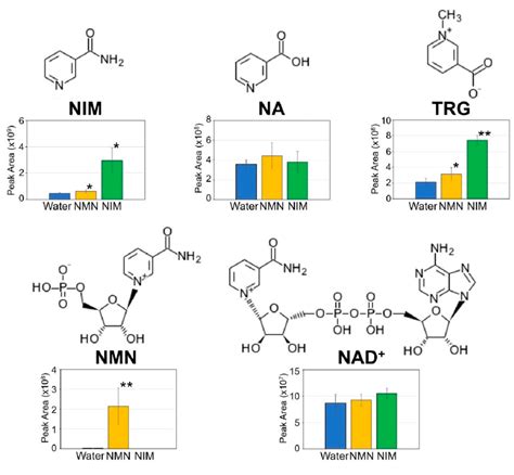 Effects Of Nicotinamide Mononucleotide NMN And Nicotinamide NIM