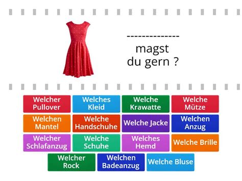 Frageartikel Welcher Welchen Welches Welche Find The Match