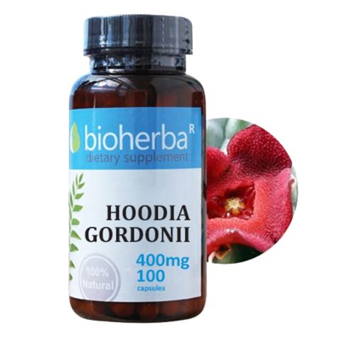 ХУДИЯ 400мг 100 капс. БИОХЕРБА HOODIA GORDONII 400mg 100 caps. BIOHERBA ...