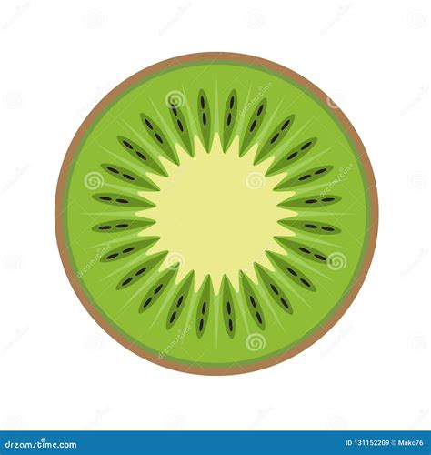 Fresh Kiwi Fruit Slice Stock Vector Illustration Of Fresh